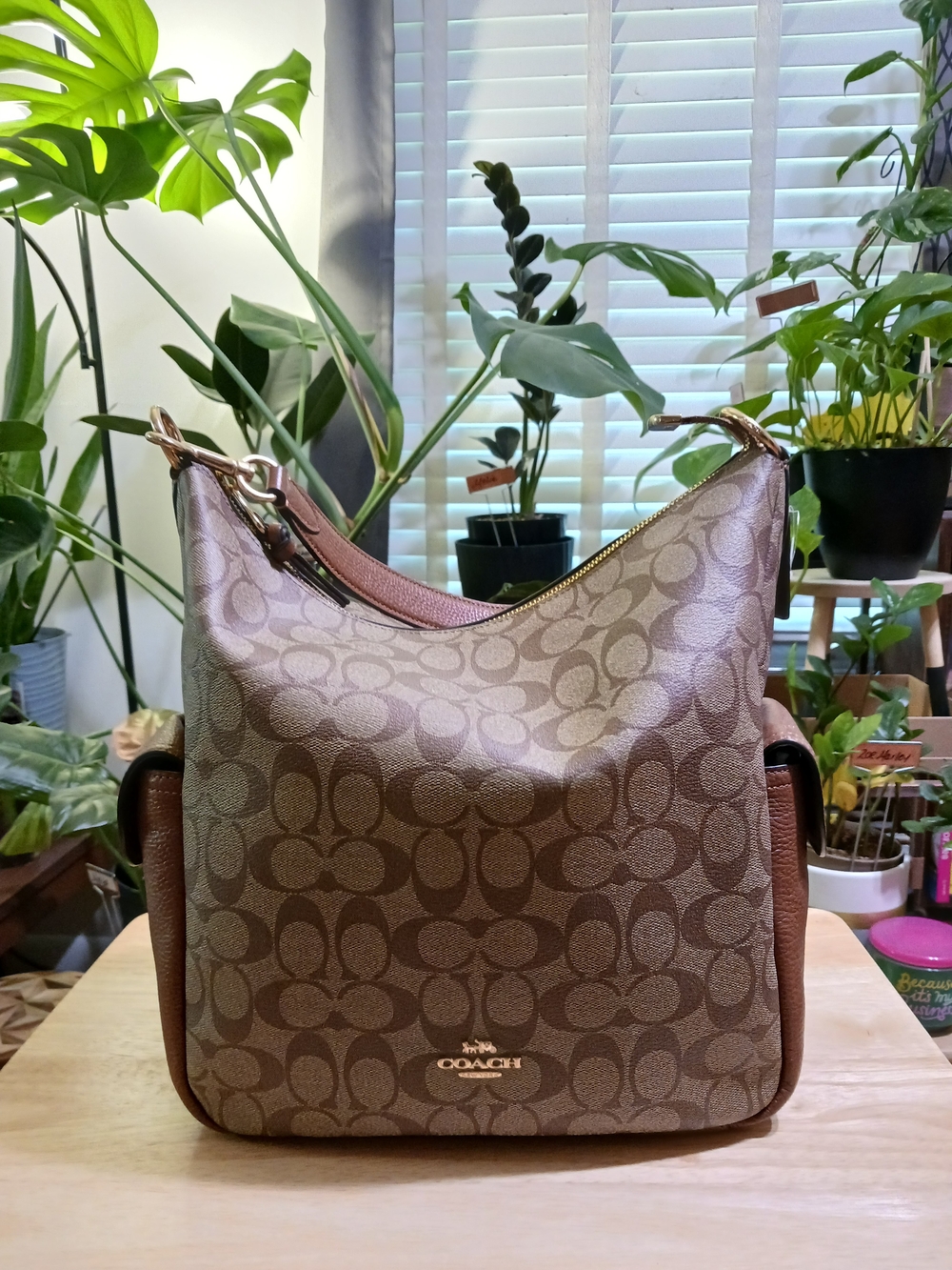 Coach Pennie Shoulder Bag